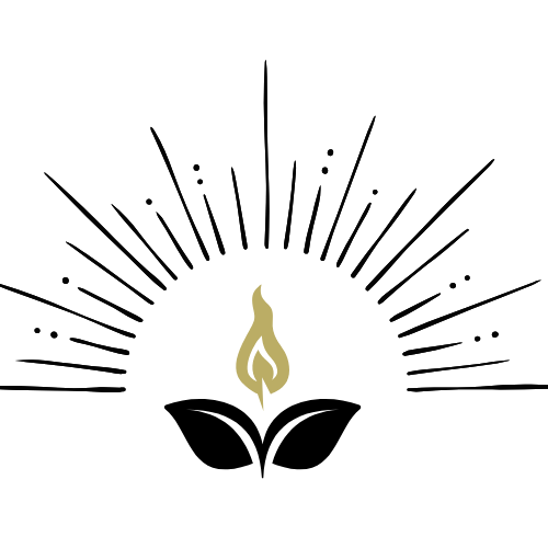 Luxury Vibes Services